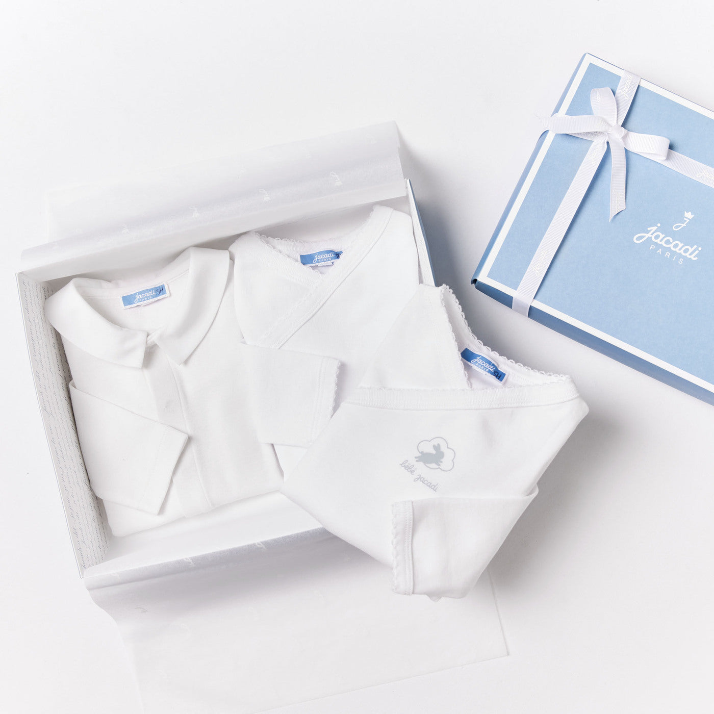 Baby boy long sleeves bodysuit