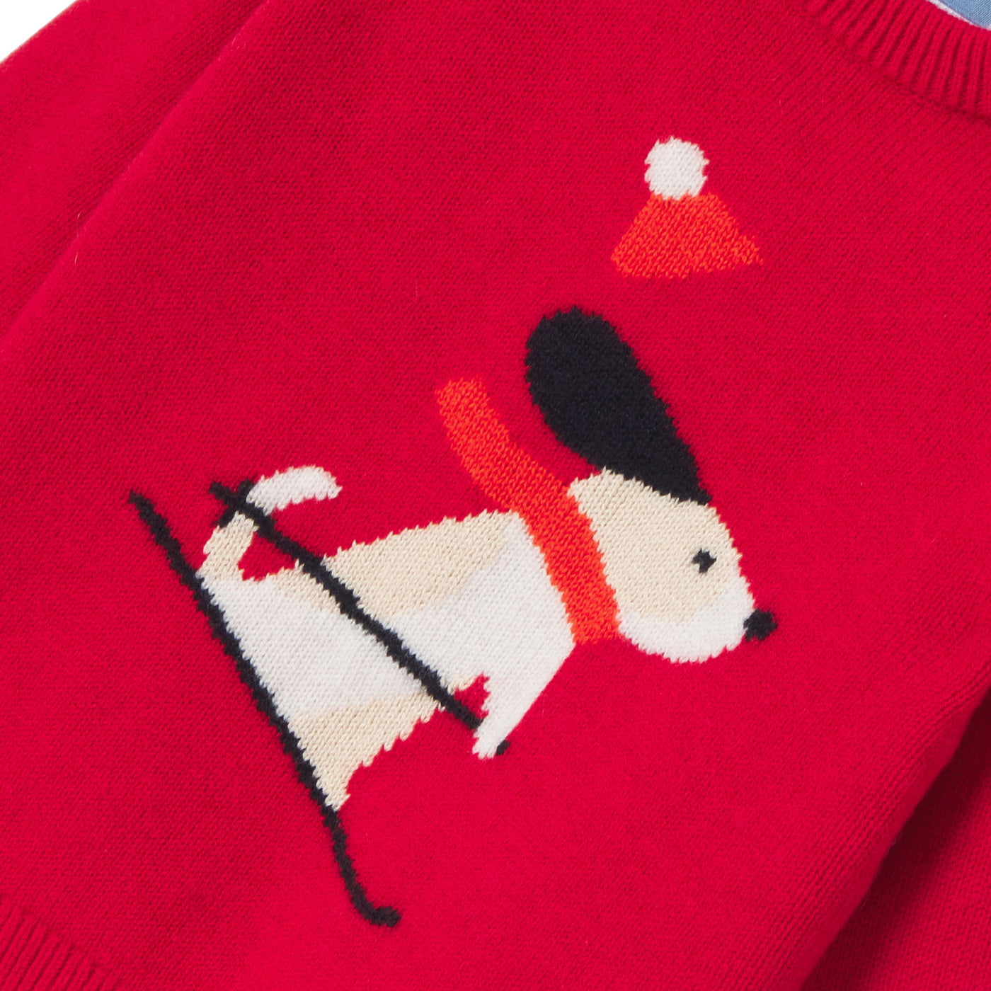 Baby boy intarsia dog sweater