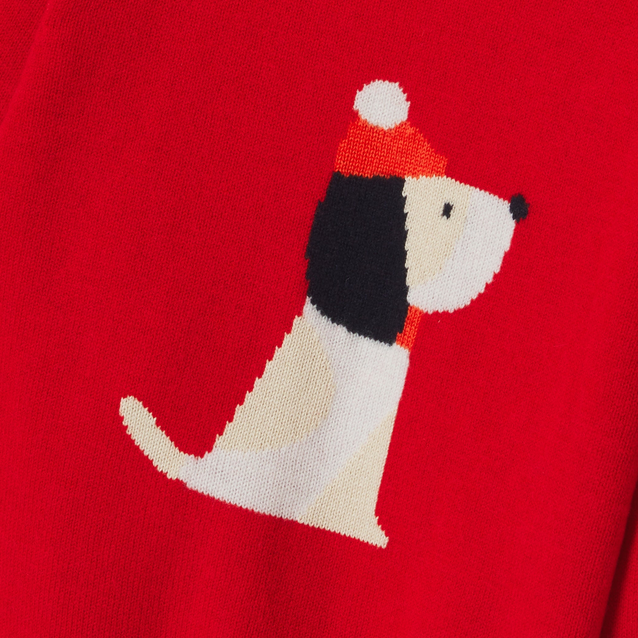 Children Holiday sweater