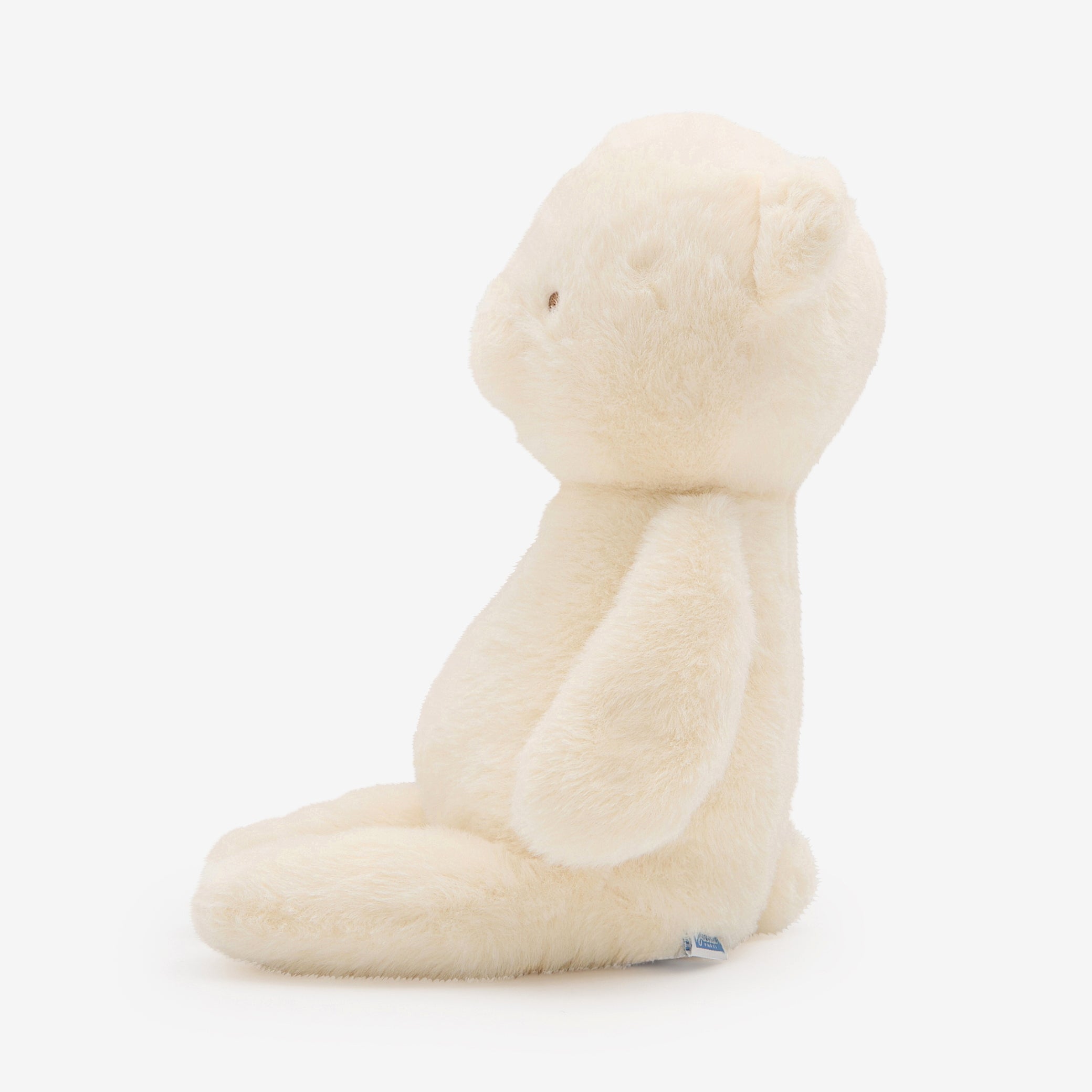 Martin large teddy bear