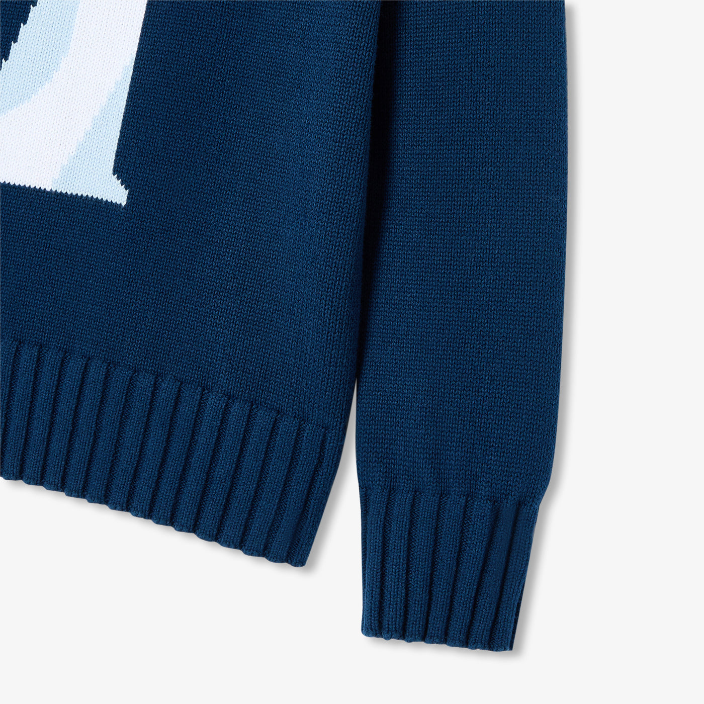 Boy cotton jersey sweater