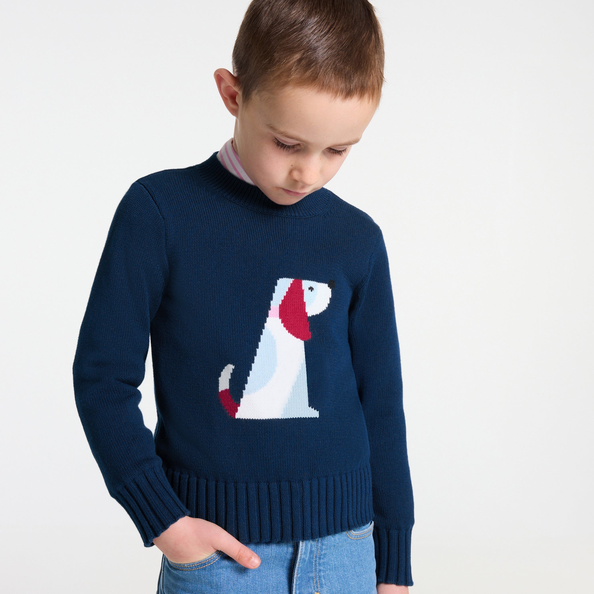 Boy cotton jersey sweater