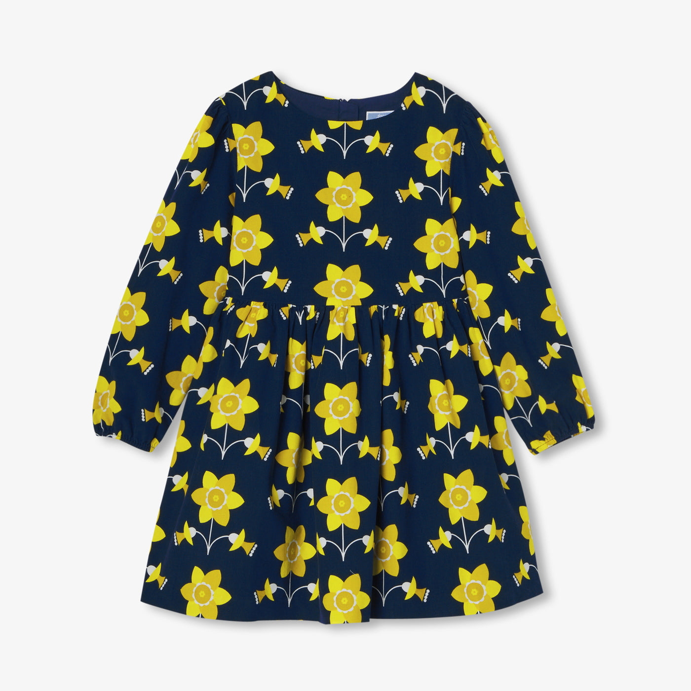 Girl dress in milleraies velvet