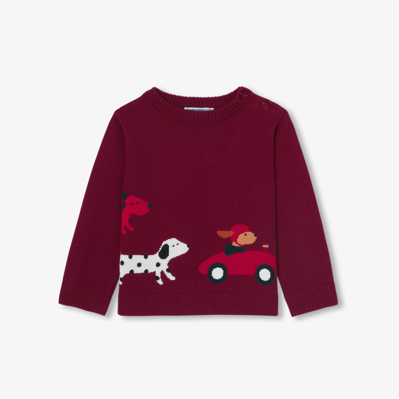 Baby boy cotton sweater