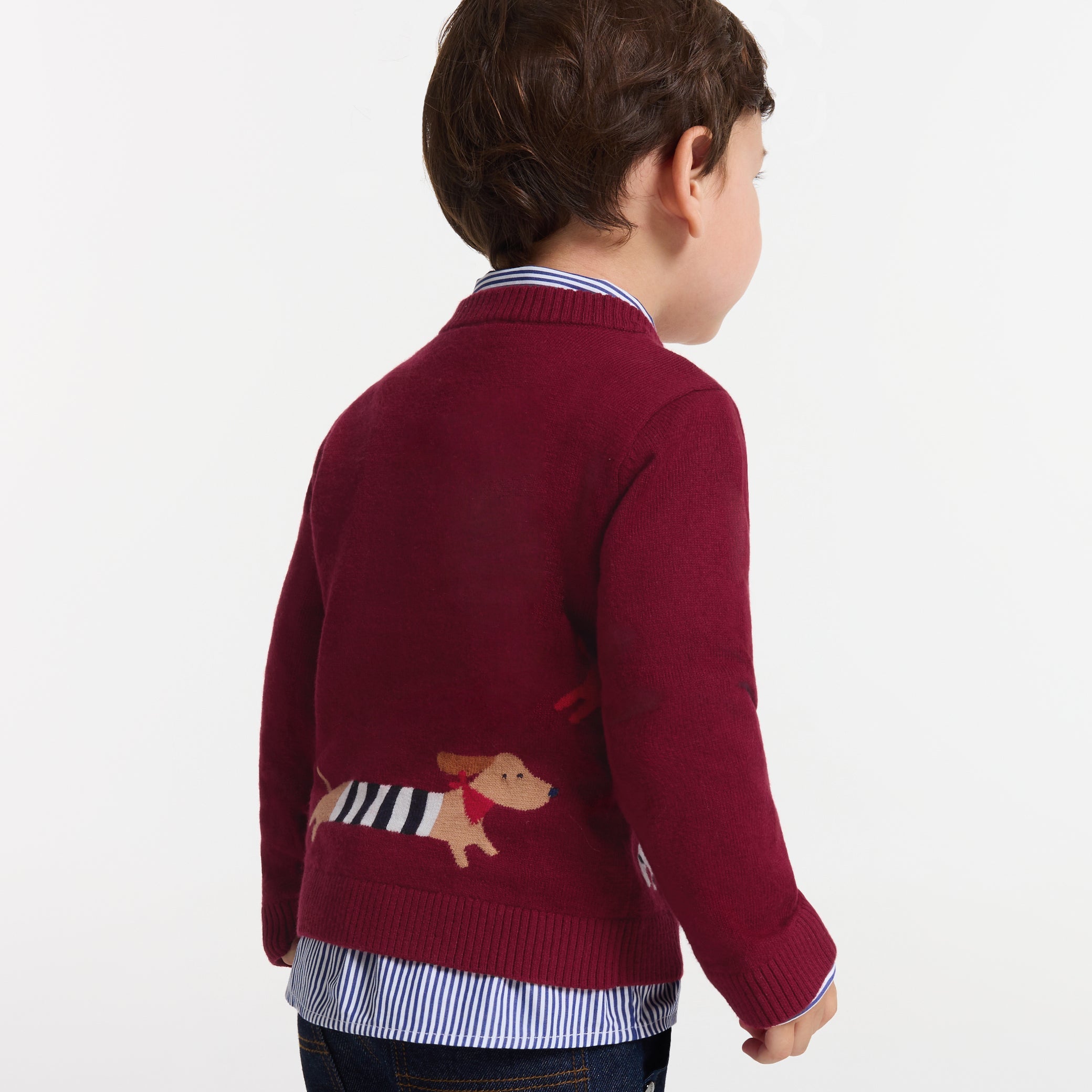Baby boy cotton sweater
