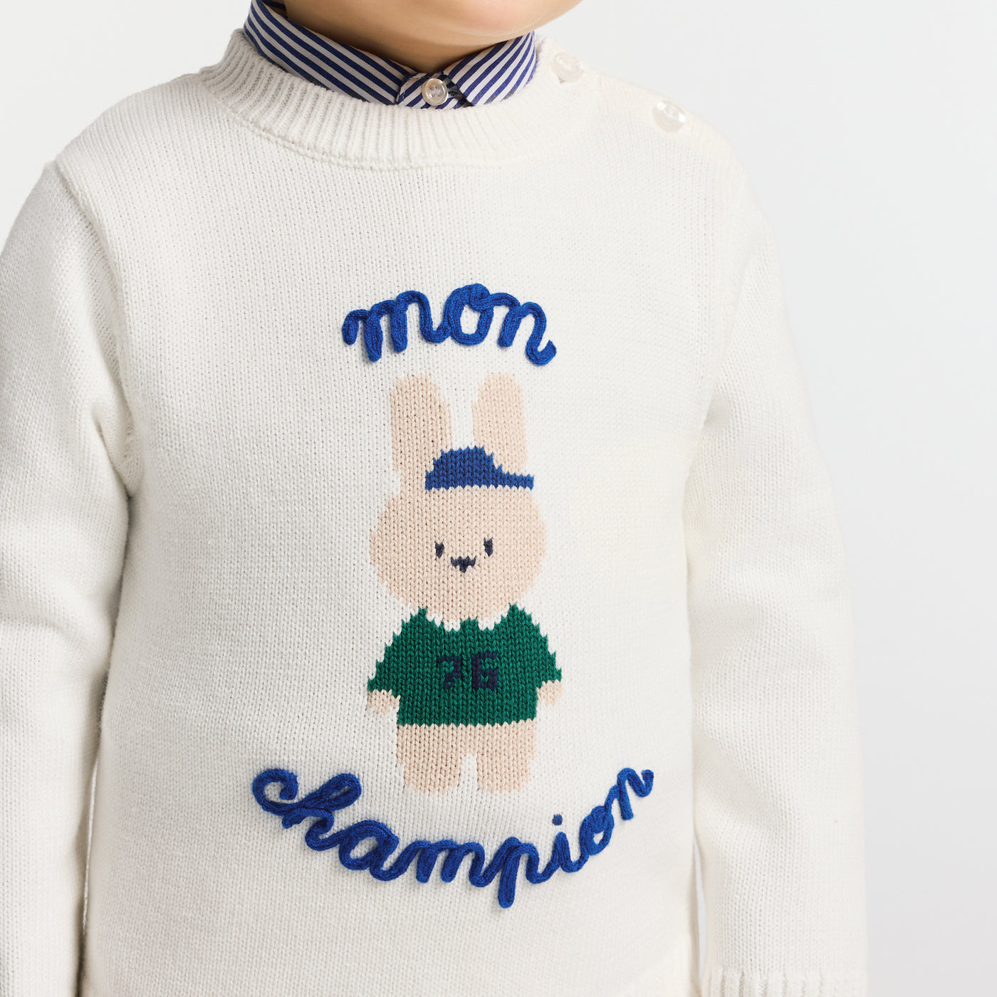 Baby boy intarsia bunny cotton jumper